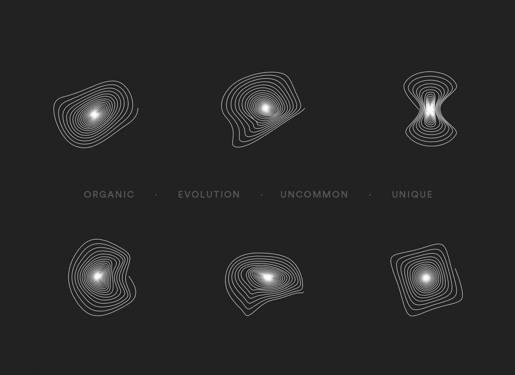Brand Identity by Whitelw Mitchell